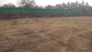  Plot For Sale in Suryanagari