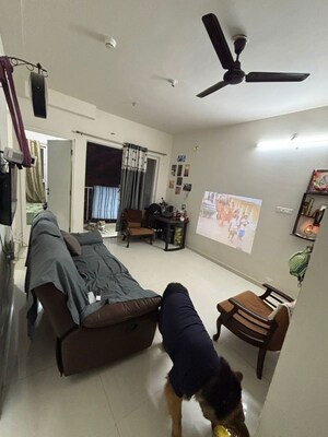 Living Room in 1 BHK Apartment at Godrej Hillside 2, Mahalunge – for Rent