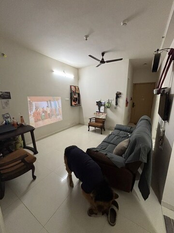 1 BHK Apartment For Rent in Godrej Hillside 2, Mahalunge