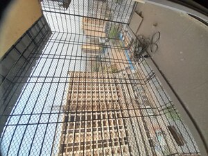 Balcony in 3 BHK Apartment at Banjara Hills CHS	, Ulwe Sector 19b – for Rent