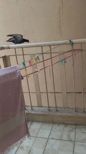 Balcony in 2 BHK Apartment at Anthem French Apartment, Sector 16b Greater Noida – for Sale