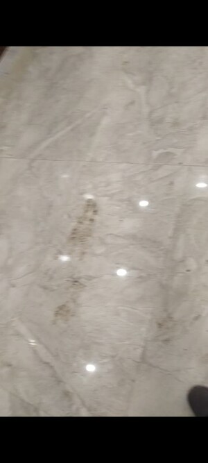 Room in 2 BHK Builder Floor at Sainik Plaza, Sector 49 – for Sale