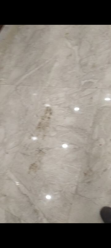 Room in 2 BHK Builder Floor at Sainik Plaza, Sector 49 – for Sale