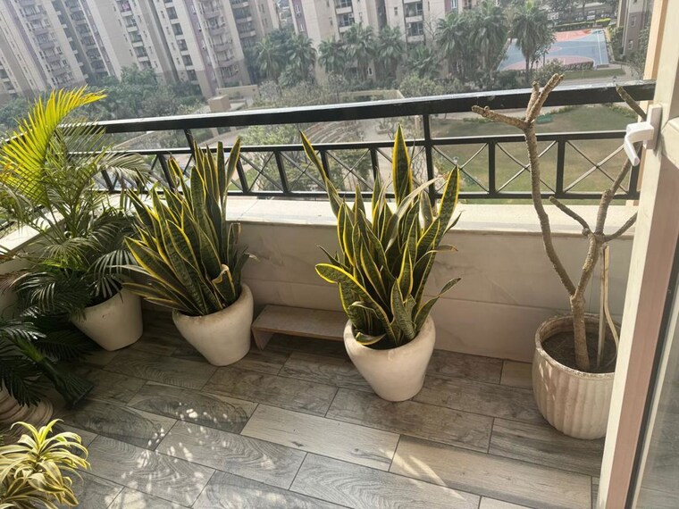 Gym, orchid-petals 3 Bedroom 1805 Sq.Ft. Apartment In Sector 49 Gurgaon 9994238