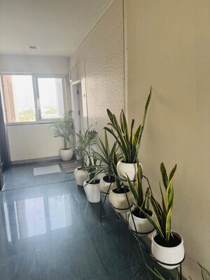 Gym in 3 BHK Apartment at Orchid Petals, Sector 49 – for Rent