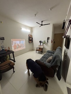 1 BHK Apartment For Rent in Godrej Hillside 2