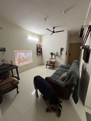 1 BHK Apartment For Rent in Godrej Hillside 2, Mahalunge