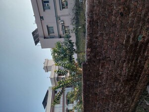  Plot – Exterior View View at Badripur - for Sale