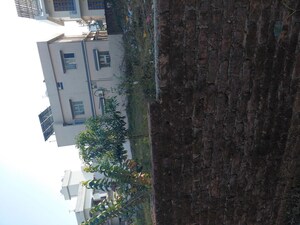  Plot – Exterior View View at Badripur - for Sale