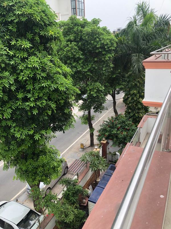 5 BHK + Servant Room Builder Floor For Rent in Sector 61