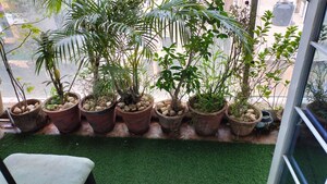 Living Room in 2 BHK Apartment at Matrix Alfa 1, Kharadi – for Rent