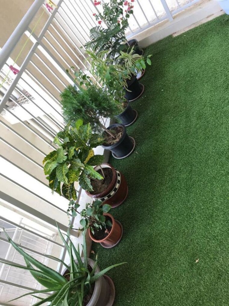 undefined, ss-the-coralwood 2 Bedroom 1425 Sq.Ft. Apartment In Sector 84 Gurgaon 9919932