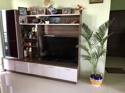 2 BHK Apartment For Rent in SS The Coralwood