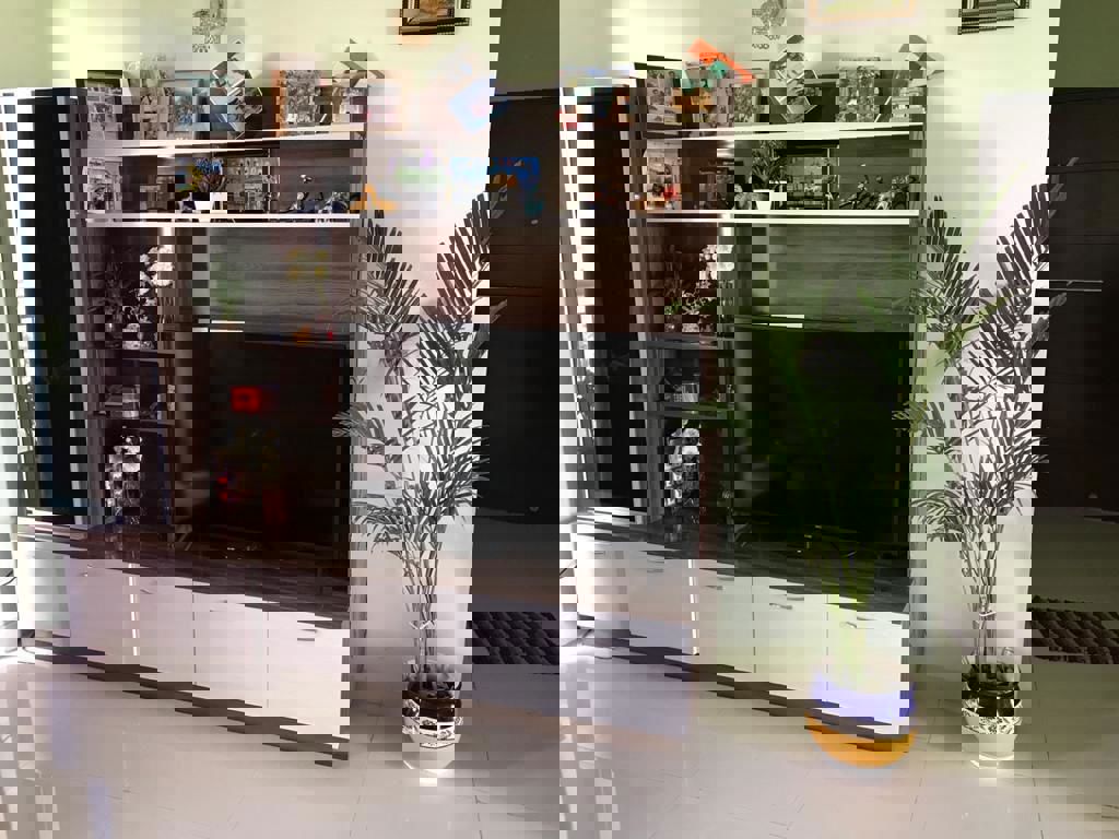 2 BHK Apartment For Rent in SS The Coralwood