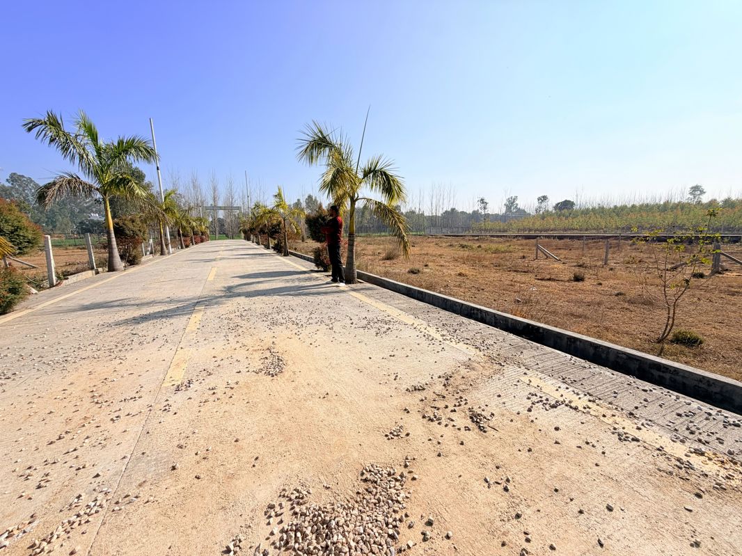 Plot For Sale in Mohabbewala