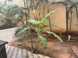 3 BHK Villa – Map Location View at Wright Spaces The Grove Row House, Sarjapur Road - for Sale