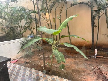 3 BHK Villa – Map Location View at Wright Spaces The Grove Row House, Sarjapur Road - for Sale