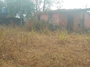 Plot Area in  Plot at Chanje – for Sale