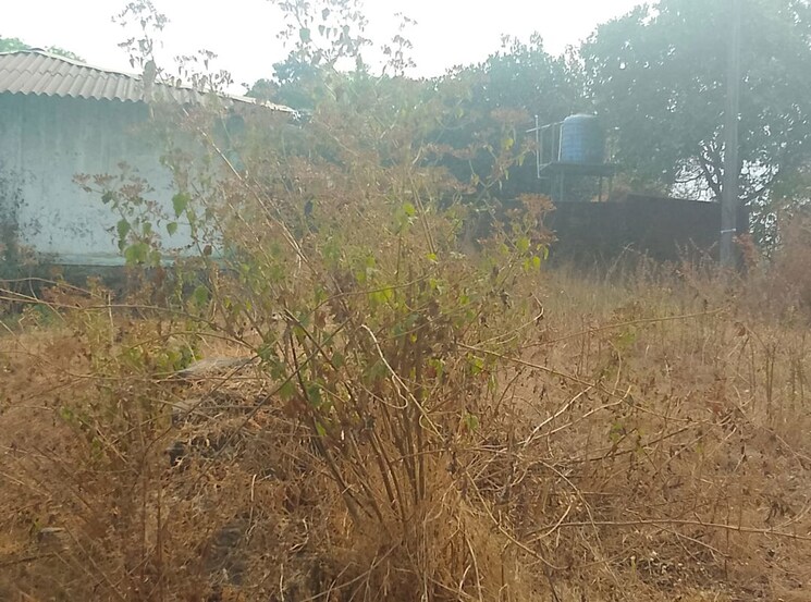 undefined, chanje  1089 Sq.Ft. Plot In Chanje Navi Mumbai 9995126