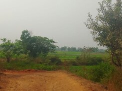 Plot For Sale in Chanje