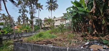  Plot For Sale in Kanjirampara