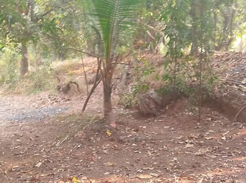  Plot For Sale in New Panvel