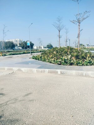  Plot – Exterior View View at Sohna Sector 4 - for Sale