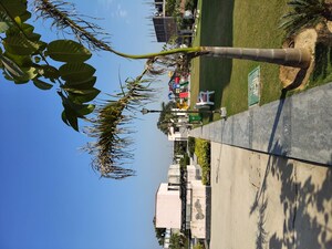  Plot – Exterior View View at Meffier Golden Park, Sohna Sector 4 - for Sale