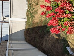  Plot – Garden View at Meffier Golden Park, Sohna Sector 4 - for Sale