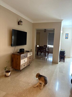 Living Room in 3 BHK Apartment at Parsvnath Exotica, Sector 53 – for Rent