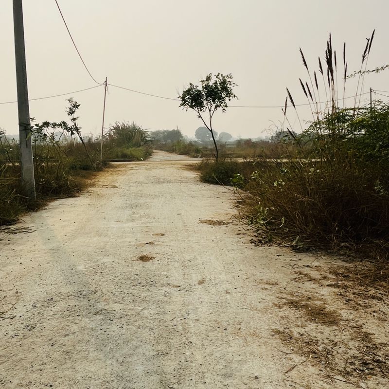 Plot For Sale in Dadri