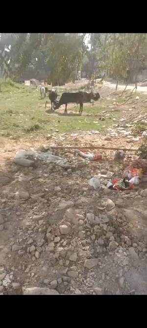 Plot Area in  Plot at Takrohi – for Sale