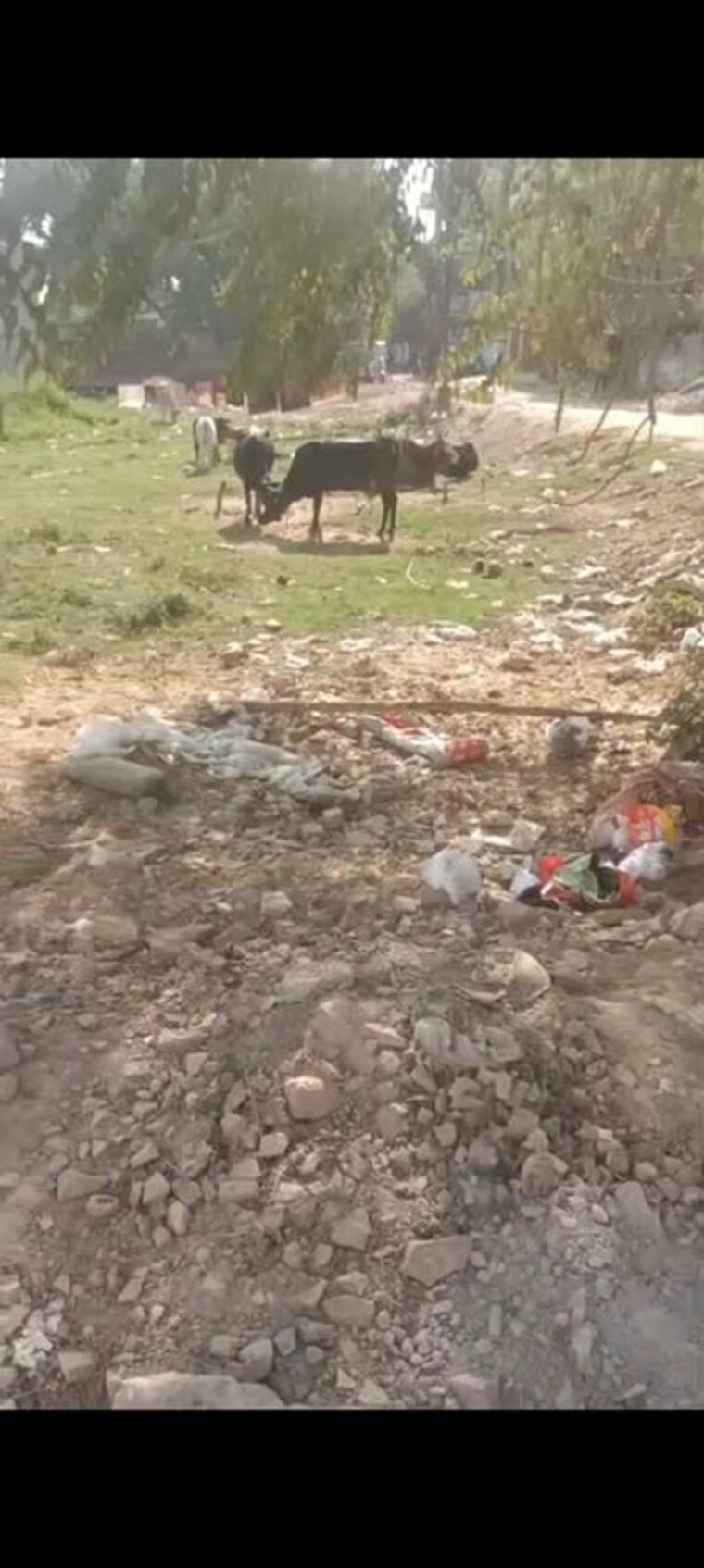 undefined, takrohi  1500 Sq.Ft. Plot In Takrohi Lucknow 9995717