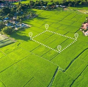  Plot For Sale in Farukh Nagar