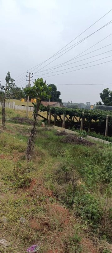  Land For Sale in Bheemanakuppe