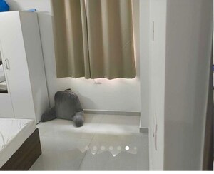 Furnished Amenities in 3 BHK Apartment at Svadha Kollaar, Osman Nagar – for Rent