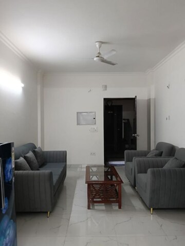 Living Room in 2 BHK Apartment at Anamika Enclave, Sector 14 – for Rent