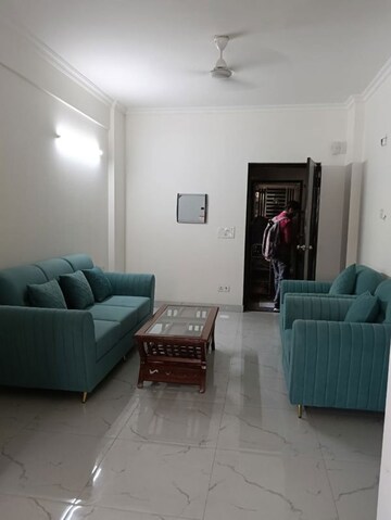 2 BHK Apartment For Rent in Anamika Enclave, Sector 14