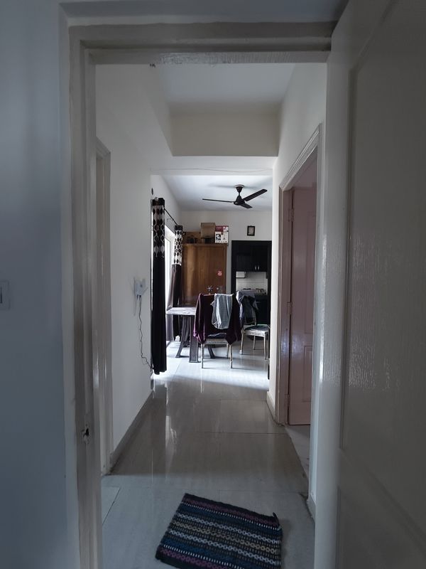 2 BHK Apartment For Rent in Paras Tierea