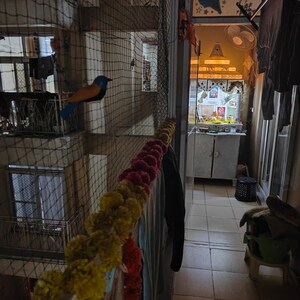 Living Room in 3 BHK Apartment at Mahagun Mywoods, Sector 16c Greater Noida – for Rent