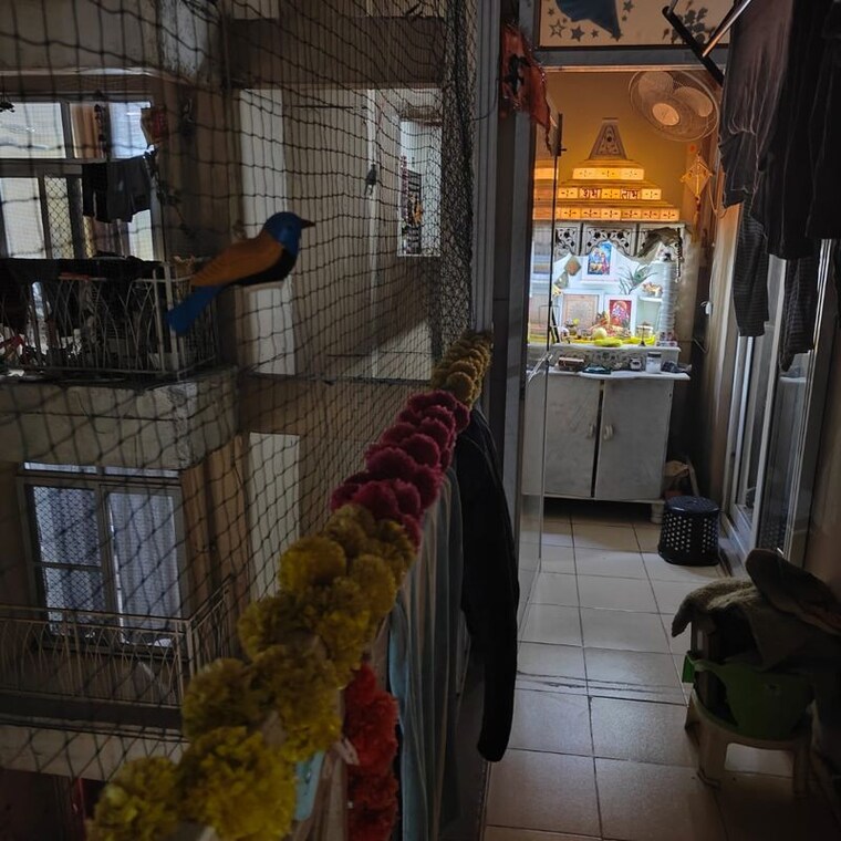 Living Room, mahagun-mywoods 3 Bedroom 948 Sq.Ft. Apartment In Sector 16c Greater Noida Greater Noida 9968280