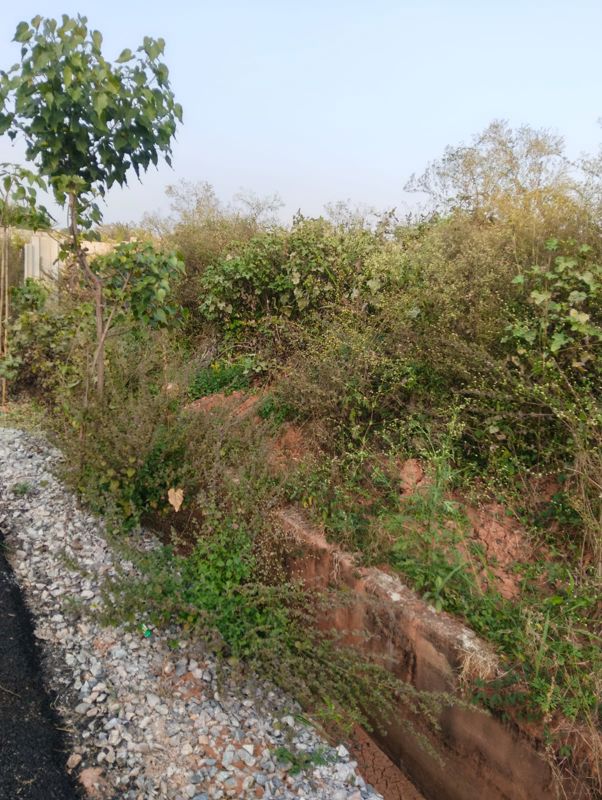 Plot For Sale in Sampigehalli