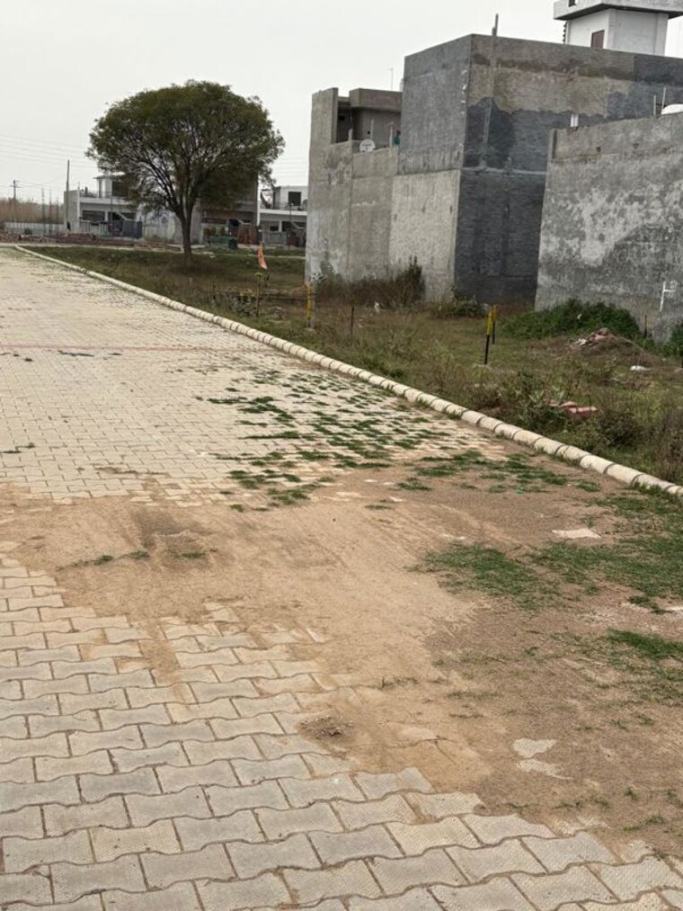 undefined, dera bassi  78 Sq.Yd. Plot In Dera Bassi Mohali 9996377