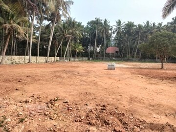 Plot For Sale in Pappanamcode