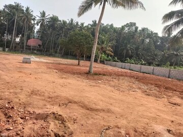 Plot Area in  Plot at Pappanamcode – for Sale