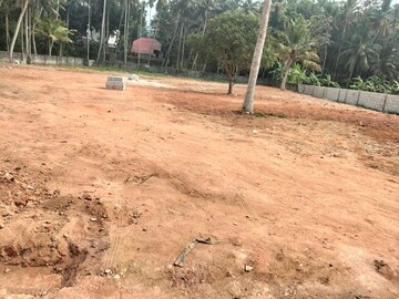 Plot Area in  Plot at Pappanamcode – for Sale