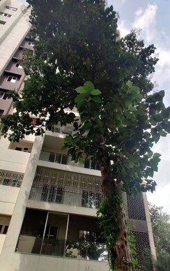 3 BHK + Pooja Room Apartment For Rent in Mahindra Vivante