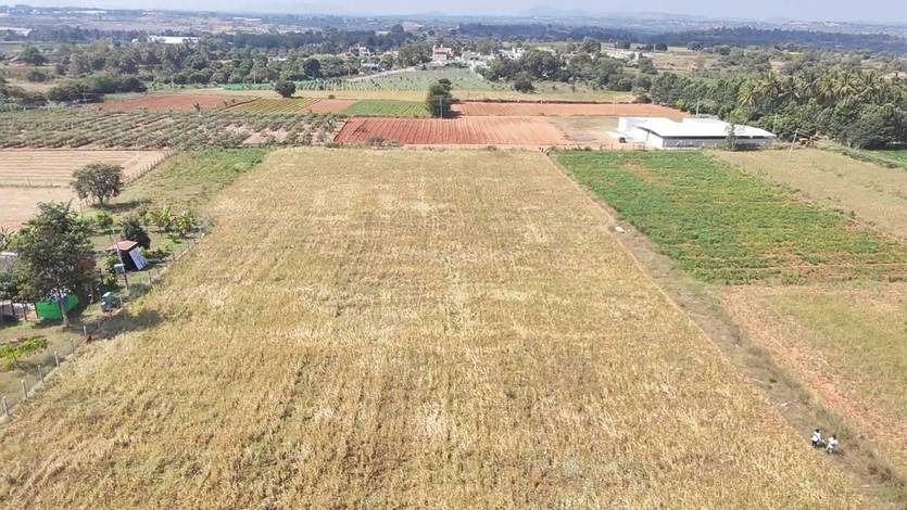 Plot For Sale in Narayanapura