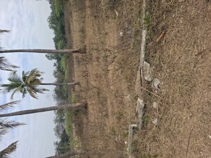 Plot Area in  Plot at Sangareddy – for Sale