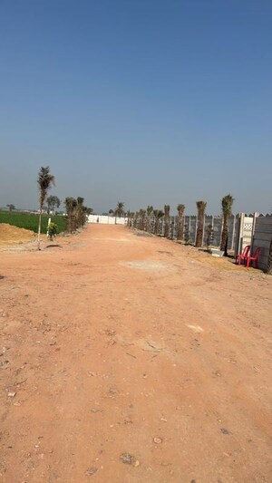 Plot Area in  Plot at Tappal – for Sale